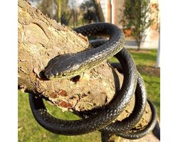 Realistische Rubber Slang van 130 cm, Kunstmatige Mamba voor Tuinaccessoires, Vogels, Grappen en Halloween Versiering