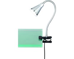 REALITY ARRAS - Klemlicht - Titanium - incl. 1x SMD 4W - Snoerschakelaar - Flexibel - Klemlamp