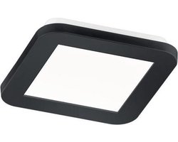 REALITY CAMILLUS - Plafondlamp - Badkamer - Zwart - Stappendim - 17cm