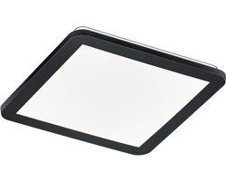 REALITY CAMILLUS - Plafondlamp - Zwart mat - incl. 1x SMD 16 W - Dimbaar met schakelaar - Niet geschikt voor externe dimmer - Wand- en plafondmontage - Badkamerverlichting