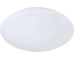 REALITY PUTZ II - Plafondlamp - Wit - incl. 1x SMD 12W - D: 27cm - IP44