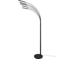 REALITY REED - Vloerlamp - Zwart mat - incl. 5x SMD 3,5 W - OSRAM lichtbron - Verlichting omhoog en omlaag - Niet dimbaar