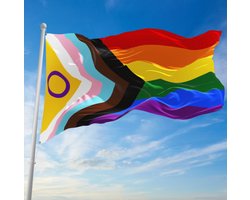 Regenboogvlag 150x90 cm - LGBTQIA+- - Rainbow Flag - Intersex - Intersekse - Voorwaarts - Progress Vlag - Gay Pride - Pride Vlag - Weerbestendig - Incl messing bevestigingsringen - Polyester