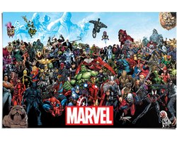 Reinders Poster Marvel Universe - 61x91,5cm - Papier