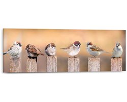 Reinders Schilderij Vogels - 30x90cm - Hout