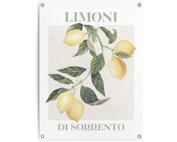 Reinders Tuinposter Limoni - 80x60cm - Canvas