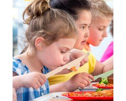 Reisbestekset met koffer- herbruikbaar plastic servies- messenlepelvork- set van 2 draagbare campinggebruiksvoorwerpen- voor reizen- picknick- kamperen of dagelijks gebruik (groen+beige)