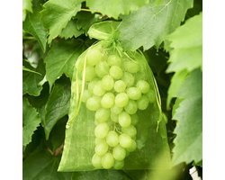 Rekx® - Fruithoes met trekkoord 20 x 30 cm - set van 50 stuks