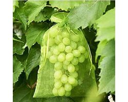 Rekx® - Fruithoes met trekkoord 20 x 30 cm - set van 75 stuks