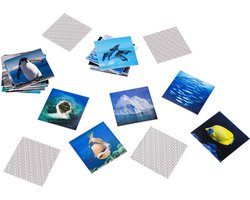Remember Memory Game - Ocean