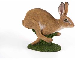 Rennende Haas - Hamac - Tuinbeelden