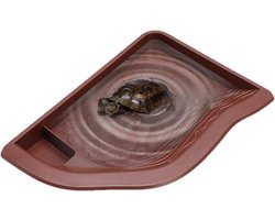 Reptielen Kom - Badkom Terrarium - Natuurlijke Hydratatie - Veelzijdige Natte Droge Zones - 24 cm - Groen
