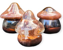 Resin Art JR: Herfst Decoratie / Paddenstoelen / Woonaccessoires