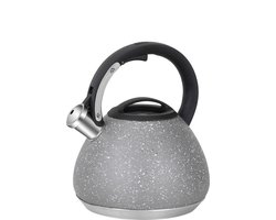 Resto Kitchenware Fluitketel Lyra - Zilver - 2.7 liter