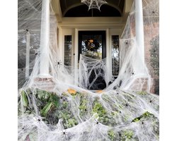 Reuze Spinnenweb 1300 Vierkante Voet - Met 100 Realistische Spinachtigen - Super Elastisch Halloween Decor - Voor Binnen en Buiten - Perfect voor Griezelige Sfeer - Eenvoudig aan te Brengen en te Verwijderen