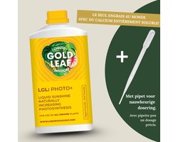 Revolutionaire bladvoeding voor kamerplanten – Liquid Gold Leaf Photo+ 250 ml (maakt 125 liter) – Stimuleert fotosynthese & wortelgroei – Plantenvoeding zonder schadelijke stoffen
