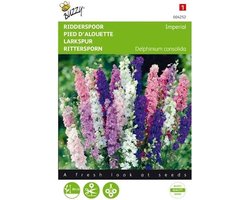 Ridderspoor Imperial - Delphinium consolida