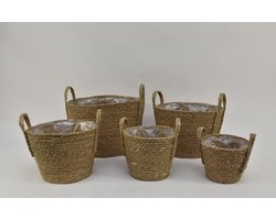 Rieten Manden Verschillende Vormen - Set/5 Zeegras Manden Met Oren Naturel D34 H31cm