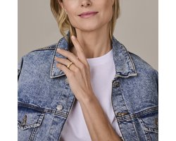 Ring Schakel