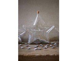 Rivièra Maison Big Star - kerstdecoratie - Fles - Zilverkleurig - 18cm (L)