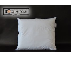 Robijn Hoofdkussen - 100% Perkal Katoen - 800 Gram - Bolletjes | Anti Allergie | Holle gesiliconiseerde polyester vezelbolletjes
