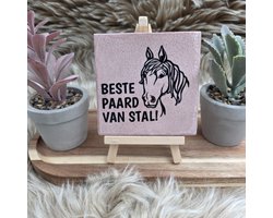 Robuust Tegeltje – Beste Paard van Stal – Lichtroze Keramiek met Zwarte Tekst – 10x10 cm – Cadeau voor Paardenliefhebber of Tophulp – Wanddecoratie - Trendy nu - Paard