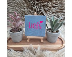 Robuust wenstegeltje “Liefs” – Keramiek 10x10 cm – Liefdevolle Wanddecoratie & Cadeau – teksttegel liefde – roze keramiek tegel – cadeau vriendin – decoratieve tegel met tekst – woondecoratie quotes – kleine tegel met spreuk – romantisch cadeau