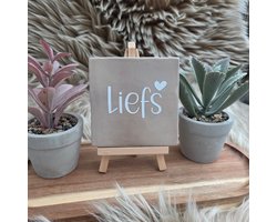 Robuust wenstegeltje “Liefs” – Keramiek 10x10 cm – Liefdevolle Wanddecoratie & Cadeau – teksttegel liefde – roze keramiek tegel – cadeau vriendin – decoratieve tegel met tekst – woondecoratie quotes – kleine tegel met spreuk – romantisch cadeau