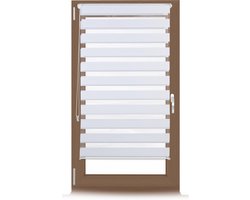 Rolgordijn - 66 x 156 cm - lichtdoorlatend