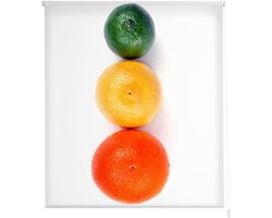 Rolgordijn Easyfix - Privacygordijn Zonwering - Raamdecoratie - Zonder Boren - 50 x 150 cm - Multicolor