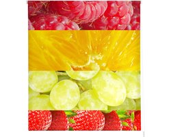 Rolgordijn - Privacygordijn Zonwering - Raamdecoratie - Montage zonder boren - 90 x 150 cm - Multicolor