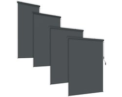 Rolgordijn Zonwerend – Breedtes 160 cm – Hoogte 250 cm – Verticaal Rolgordijn met Cassette – Handbediend – Voor Buiten, Balkon, Terras & Raam – Donkergrijs