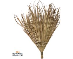 Romana Products - Sauna Waaier Groot - Verkoeling en Ontspanning in de Sauna