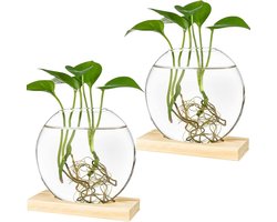 Ronde glazen plantenbak terrarium met houten standaard voor hydrocultuur en vermeerdering van planten - 2 stuks - beige