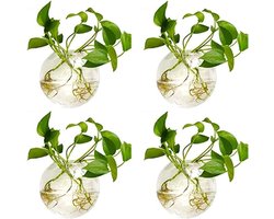 Ronde Glazen Plantenpotten - Mooie Muurdecoratie - 4 Stuks - 10cm Diameter