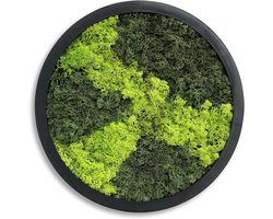 Ronde wandafbeelding met echt mos (diameter 38 cm), geconserveerd mosbeeld met houten lijst voor woonkamer, natuurlijke wanddecoratie met moslandschap.