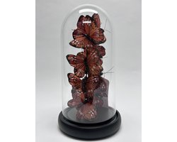 Rood en Zwart Vlinder Stolp(YF-04)