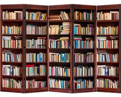 Roomdivider met 5 Panelen in Bibliotheekstijl - Vouwscherm en Kamerverdeler voor Binnen