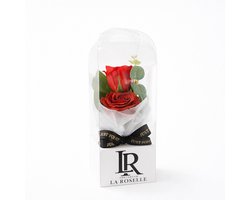 Roses in Stolp – Kunst Roos Cadeau met Giftbox – Eeuwige Roos Decoratie – Valentijn / Verjaardag / Jubileum