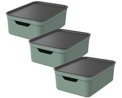 Rotho Jive opbergboxen set van 3 Opbergdozen 10 L met Deksel, Kunststof (PP Gerecycled), Groen /Antraciet, 3 x 10 L, 36,5X26,5X13CM