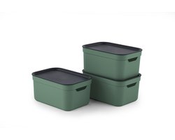 Rotho Jive opbergboxen set van 3 opbergdozen 5 l met deksel, kunststof (PP gerecycled), groen/antraciet, 3 x 5 l (26,5 x 18,5 x 13,2 cm