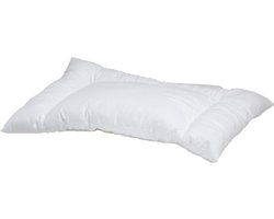 Royal Touch - Zacht - Baby - Kinder Hoofdkussen Microvezel - 40 x 60 cm