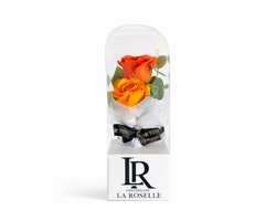 Rozen in Stolp 25 cm – Luxe Eeuwige Roos Cadeau met Geschenkbox – Valentijn & Moederdag Decoratie – Oranje/Goud