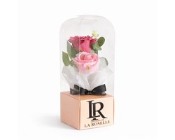 Rozen in Stolp – Roze Duo Rozen Cadeau met Giftbox – Eeuwige Bloemen Decoratie – Valentijn / Verjaardag / Jubileum