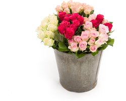 Rozen Kort (50 stelen)