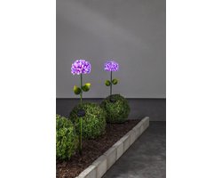 RTM Lighting Solar Tuinverlichting decoratie Hortensia Paars Warm Wit licht -Roze -40 cm hoog