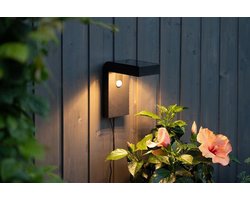 RTM Lighting Solar Wandlamp -Zwart -Warm Wit -20CM -Beweginsmelder