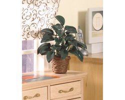 Rubber Plant 1:12 Poppenhuis – Streets Ahead S-A 2904 – Miniatuur Kamerplant