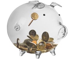 Ruhhy Spaarvarken spaarpot - glas - transparant - geld sparen - H12 x H18 cm