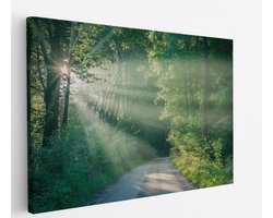 Saammp Canvas Schilderij - bos - Pad met zonsondergang - Landschap - Natuur - 40x30 - Foto op canvas - Wanddecoratie - Muurdecoratie Woonkamer - Slaapkamer decoratie - Canvas Print